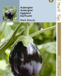 Aubergine zaad Black Beauty