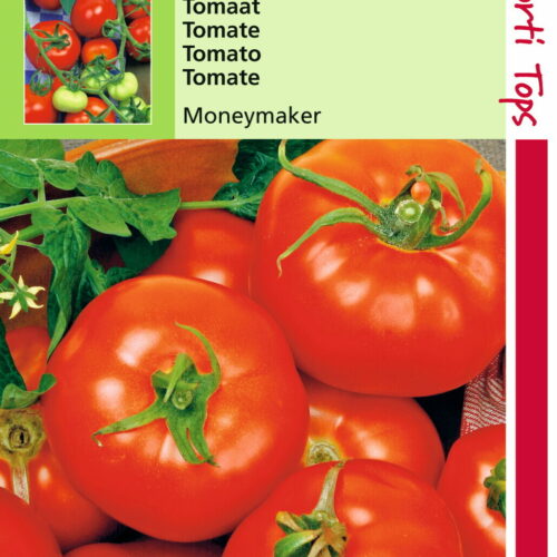 Tomatenzaad Moneymaker 2 gram